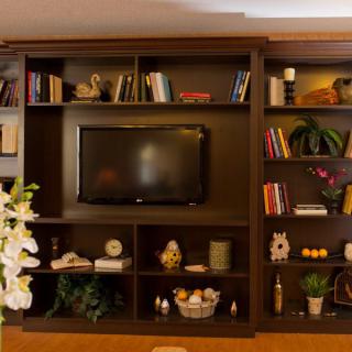 A cozy living room bookshelf with a television at the center, surrounded by books and decorative items.