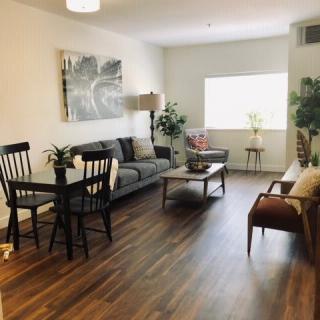 A bright and cozy living room with a sofa, chairs, coffee table, and decor including plants and artwork.