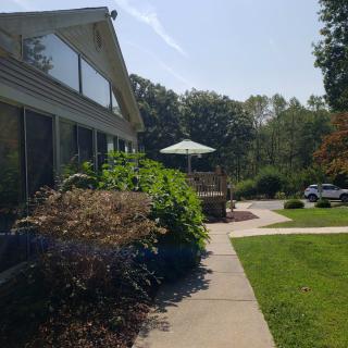 A sunny day view of a house with a garden and patio umbrella.
