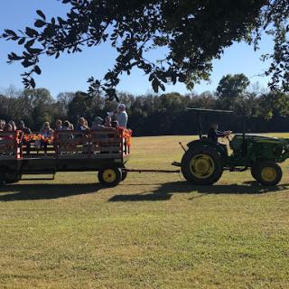 A tractor pulling a wagon filled with children in a sunny field.