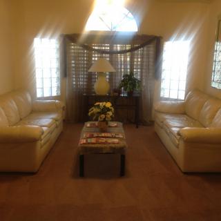 A cozy living room with two sofas facing each other, separated by a coffee table adorned with flowers and flanked by a lamp and indoor plant. Soft light filters through the curtained windows.