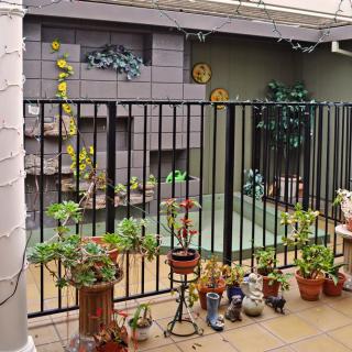 A charming courtyard filled with various potted plants lined along a black fence, creating a small urban oasis.