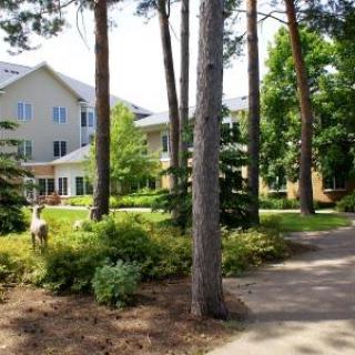 A serene view of a landscaped area featuring trees and a building in the background.