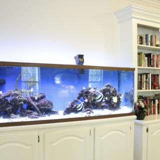 A large aquarium integrated into a living room wall, next to a bookshelf.