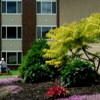 A landscaped garden with shrubs and trees in front of a multi-story building.