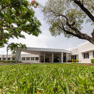 A modern building surrounded by lush greenery and trees.
