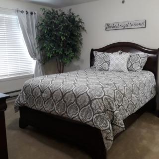 A well-decorated bedroom with a patterned comforter and large indoor plant.