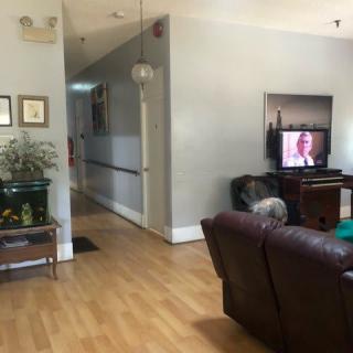 A cozy living room with a leather couch, television, and indoor plant.