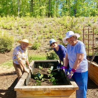 Three people gardening in raised beds on a sunny day.