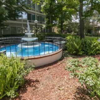 A serene garden with a central fountain surrounded by lush greenery.
