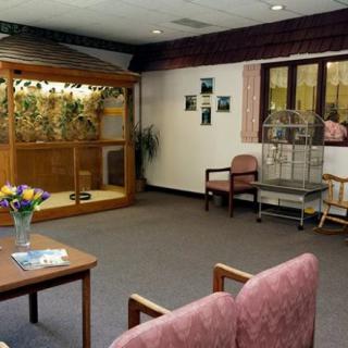 A waiting room with comfortable seating, a bird cage, and indoor plants providing a calming atmosphere.