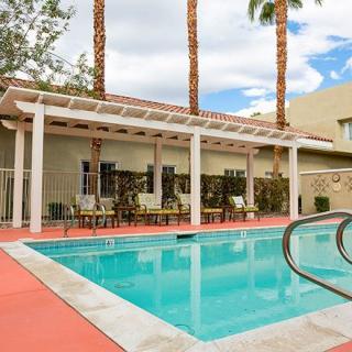 An outdoor pool area with seating under a pergola and palm trees in the background.