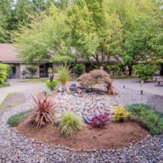 A beautifully landscaped garden featuring various plants and trees, set in a peaceful outdoor environment.