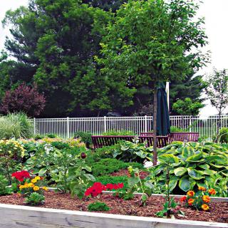 A vibrant garden with colorful flowers, greenery, and a bench under an umbrella.