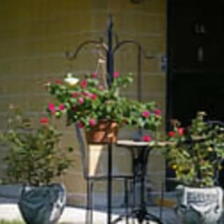 A cozy garden patio with various potted plants and flowers.
