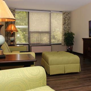 A cozy living room featuring a green sofa, wooden furniture, and ample natural light.