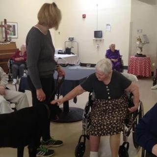 An elderly woman in a wheelchair interacts with a therapy dog, accompanied by a caregiver in a nursing home setting.