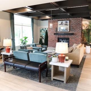 A cozy and modern living room featuring a mix of comfortable seating, natural elements, and stylish decor.