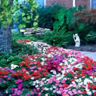A vibrant garden with a variety of colorful flowers lining a pathway.