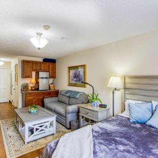 A cozy studio apartment featuring a combined living and sleeping area with a kitchenette.