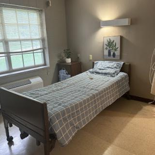A cozy and well-lit hospital room featuring a single bed, natural lighting from a window, and decorative plants.