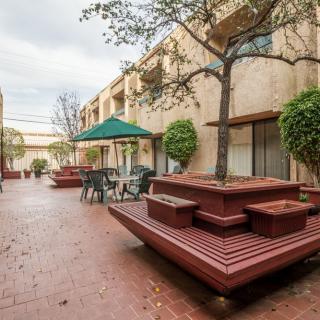 A pleasant courtyard with outdoor seating and greenery.