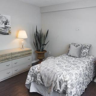 A cozy bedroom with a single bed, dresser, lamp, and potted plant.
