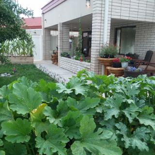 A serene view of a house with a lush garden, inviting relaxation and outdoor living.