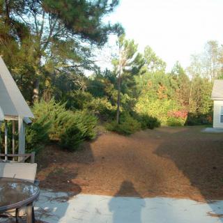 A sunny patio area with a view of a garden and trees.
