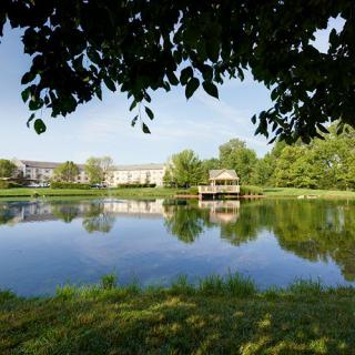 A serene landscape featuring a calm lake reflecting surrounding trees and buildings.