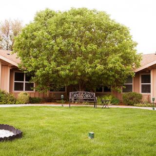 A peaceful garden setting featuring a large tree, a bench, and surrounding buildings.