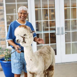 A person happily poses with an alpaca outdoors.