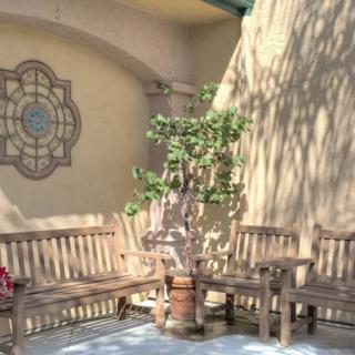 A cozy patio area with wooden benches, a potted plant, and decorative wall art basking in sunlight.