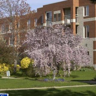 A picturesque view of a building surrounded by blooming trees and a well-maintained garden.