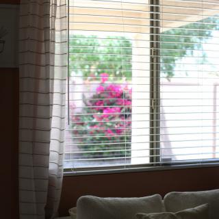 A view through a window with blinds, showcasing vibrant flowers and greenery outside.