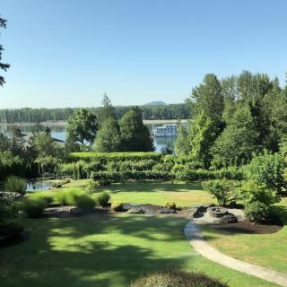 A tranquil garden view with lush greenery and a pathway, overlooking a marina.