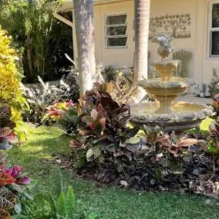 A beautiful garden featuring a decorative fountain surrounded by lush tropical plants.