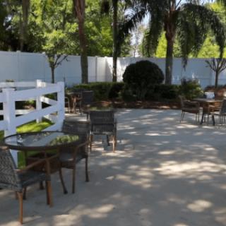 A sunny outdoor patio with chairs and tables surrounded by trees.