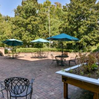 A serene outdoor patio with tables, chairs, and umbrellas surrounded by greenery.