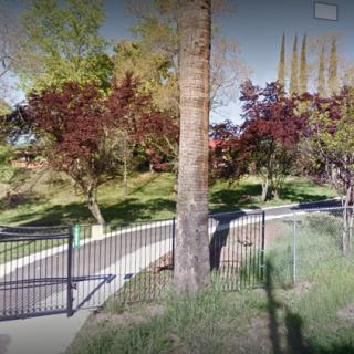 A peaceful park with a paved pathway lined with trees and a black fence.