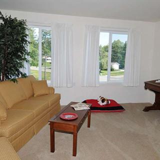 A cozy living room with a sofa, coffee table, large windows, and an indoor plant.