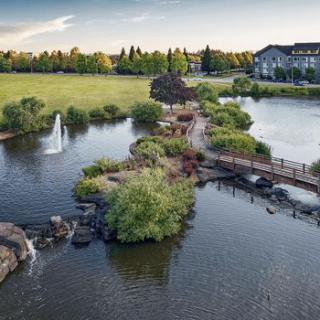 A tranquil park landscape featuring a wooden bridge over a serene pond with a fountain, surrounded by lush greenery.