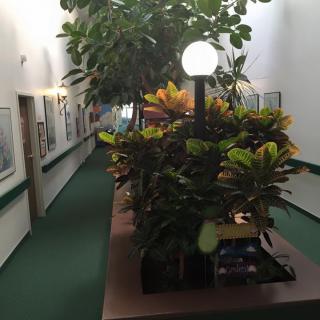A well-lit indoor hallway adorned with vibrant plants and greenery.