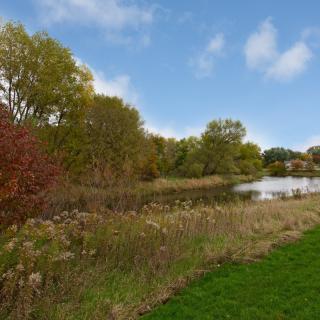 A serene lakeside landscape with autumn foliage and a clear blue sky.