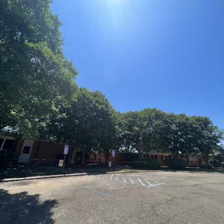 A peaceful view of a vacant parking lot surrounded by lush trees under a clear blue sky.
