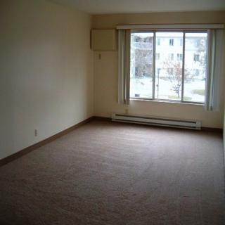 An empty room with a carpeted floor and large window allowing natural daylight.