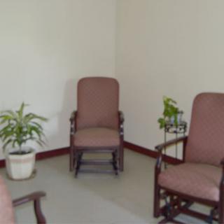 A minimalist waiting room with chairs and potted plants.