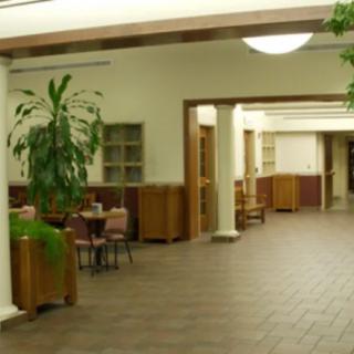 A quiet hallway with seating and indoor plants.