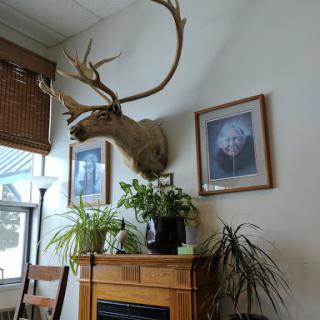 A cozy interior featuring a mounted animal head, plants, and framed photographs.