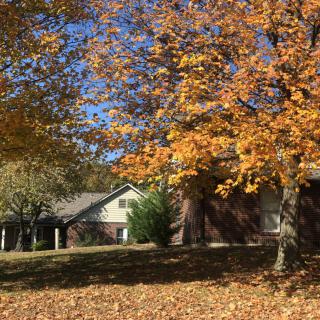 A house surrounded by trees with vibrant autumn foliage.